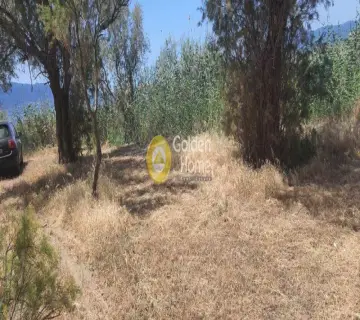 Residential 1228m<sup>2</sup> for sale photo 5