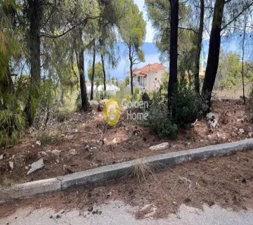 Οικιστικό 1055τ.μ. προς πώληση φωτογραφία 8
