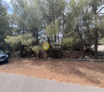 Οικιστικό 1055τ.μ. προς πώληση φωτογραφία 6