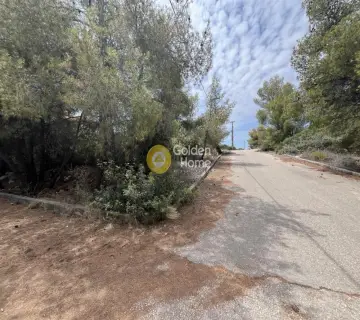 Οικιστικό 1055τ.μ. προς πώληση φωτογραφία 5
