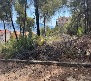 Οικιστικό 1055τ.μ. προς πώληση φωτογραφία 1