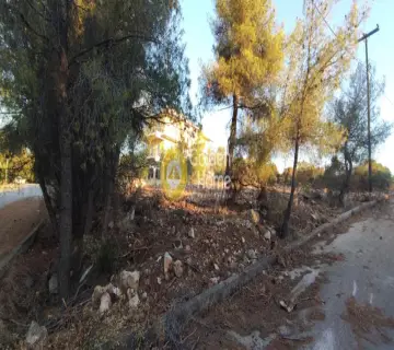 Οικιστικό 1055τ.μ. προς πώληση φωτογραφία 2