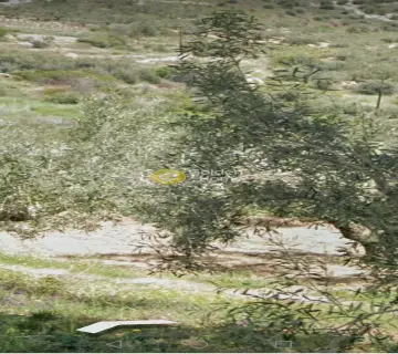 Αγροτεμάχιο 14100τ.μ. προς πώληση φωτογραφία 4299743