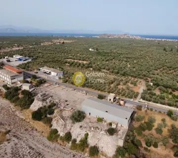 Golden Home Property Image