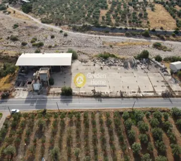 Golden Home Property Image