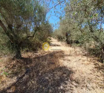 Residential 2036m<sup>2</sup> for sale photo 4298617