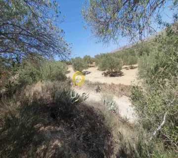 Residential 2036m<sup>2</sup> for sale photo 4298616