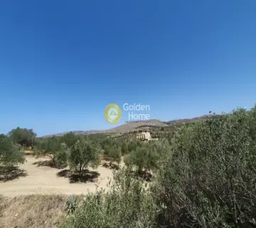 Residential 2036m<sup>2</sup> for sale photo 4298621