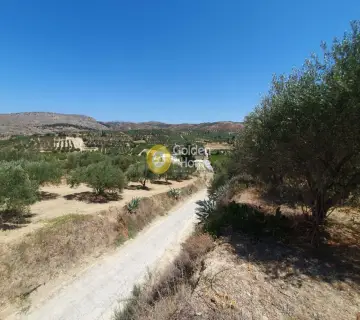 Residential 2036m<sup>2</sup> for sale photo 4298623