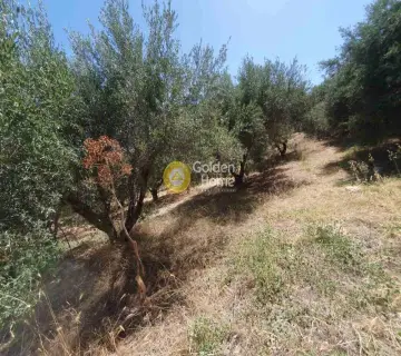 Residential 2036m<sup>2</sup> for sale photo 4298630