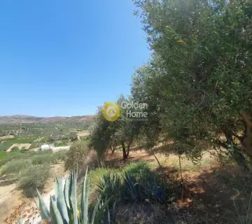 Residential 2036m<sup>2</sup> for sale photo 4298632