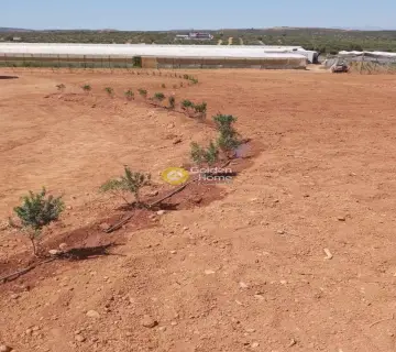 Professional Plot 5000m<sup>2</sup> for rent photo 1