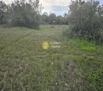 Residential 600m<sup>2</sup> for sale photo 2