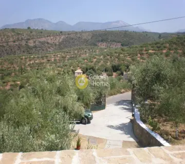 Golden Home Property Image