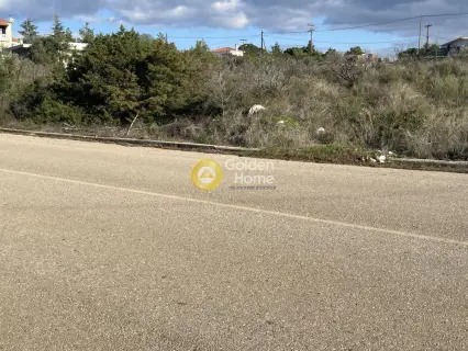 Οικιστικό 1150τ.μ. προς πώληση φωτογραφία 6