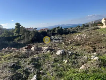 Οικιστικό 1150τ.μ. προς πώληση φωτογραφία 5