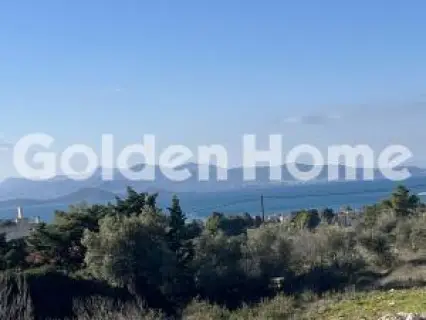Οικιστικό 1150τ.μ. προς πώληση φωτογραφία 5319298