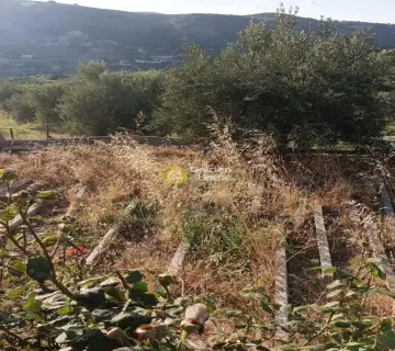Residential 5000m<sup>2</sup> for sale photo 7