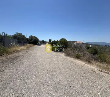 Οικιστικό 1025τ.μ. προς πώληση φωτογραφία 6
