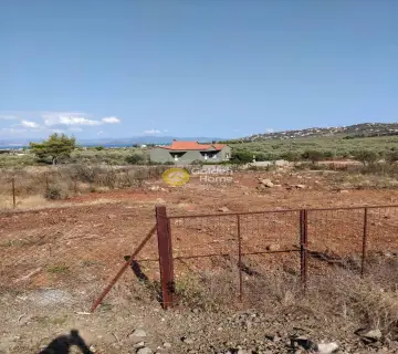 Οικιστικό 1025τ.μ. προς πώληση φωτογραφία 2