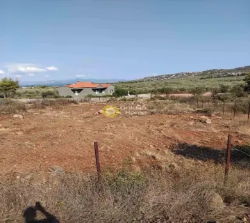 Οικιστικό 1025τ.μ. προς πώληση φωτογραφία 1