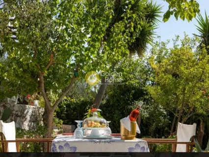 Μονοκατοικία 308τ.μ. προς πώληση φωτογραφία 40