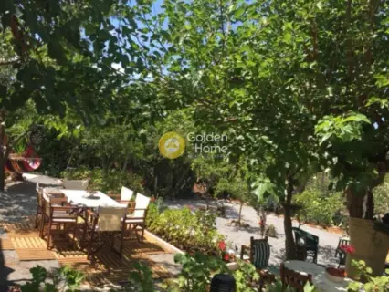 Μονοκατοικία 308τ.μ. προς πώληση φωτογραφία 42
