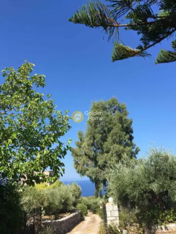Μονοκατοικία 308τ.μ. προς πώληση φωτογραφία 46