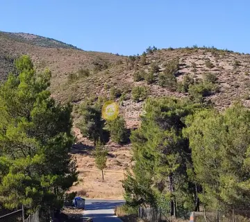 Οικιστικό 493τ.μ. προς πώληση φωτογραφία 4308809