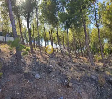 Οικιστικό 493τ.μ. προς πώληση φωτογραφία 4308809