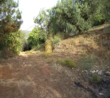 Parcel 4066m<sup>2</sup> for sale photo 1