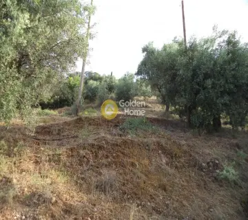Parcel 4066m<sup>2</sup> for sale photo 3