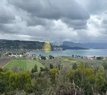 Οικιστικό 1044τ.μ. προς πώληση φωτογραφία 4740238