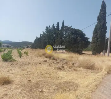 Οικιστικό 982τ.μ. προς πώληση φωτογραφία 1