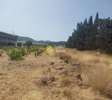 Οικιστικό 982τ.μ. προς πώληση φωτογραφία 2