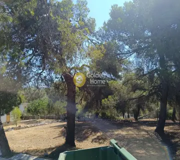 Οικιστικό 423τ.μ. προς πώληση φωτογραφία 4341838
