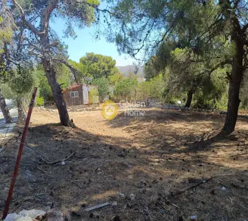 Οικιστικό 423τ.μ. προς πώληση φωτογραφία 4341839