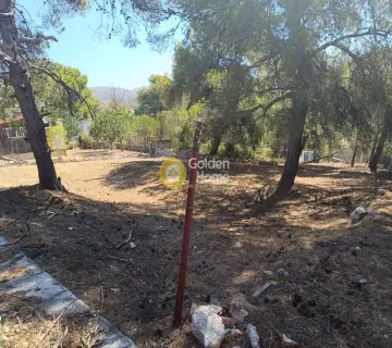 Οικιστικό 423τ.μ. προς πώληση φωτογραφία 4341840