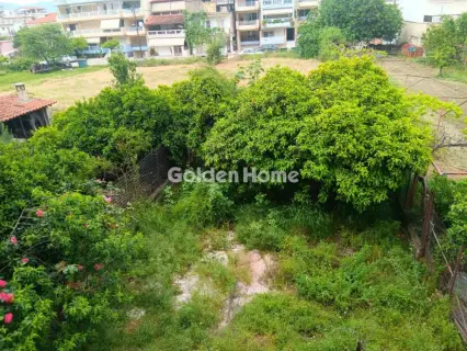 建物 420m<sup>2</sup> for sale photo 7