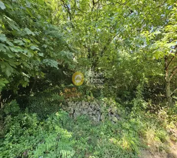 Residential 259m<sup>2</sup> for sale photo 4328440