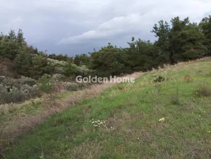 Parcel 3300m<sup>2</sup> for sale photo 5176549