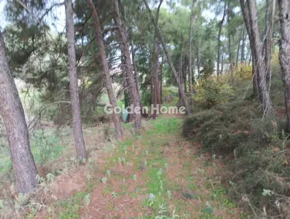 Parcel 3300m<sup>2</sup> for sale photo 5176542