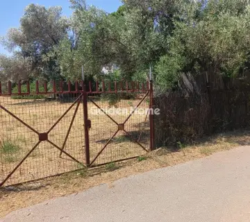 Residential 550m<sup>2</sup> for sale photo 4902043