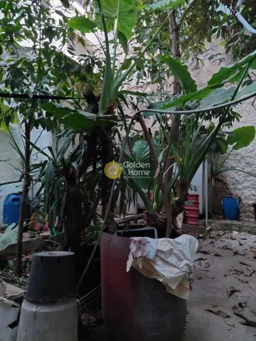 Studio 30m<sup>2</sup> for sale photo 4