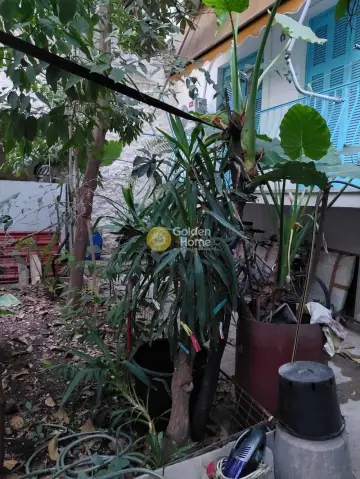 Studio 30m<sup>2</sup> for sale photo 5