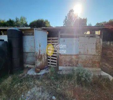 Αγροτεμάχιο 7000τ.μ. προς πώληση φωτογραφία 6