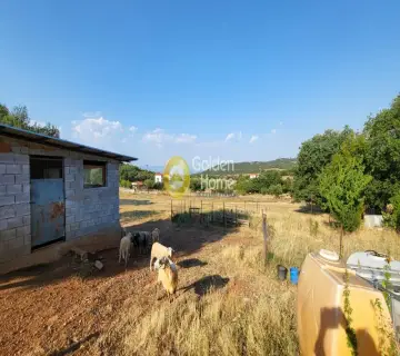 Αγροτεμάχιο 7000τ.μ. προς πώληση φωτογραφία 5