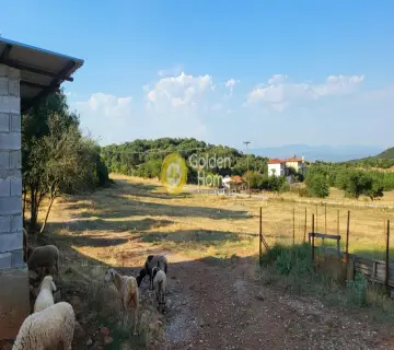 Αγροτεμάχιο 7000τ.μ. προς πώληση φωτογραφία 2