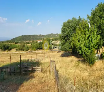 Αγροτεμάχιο 7000τ.μ. προς πώληση φωτογραφία 8