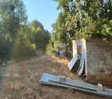 Αγροτεμάχιο 7000τ.μ. προς πώληση φωτογραφία 9